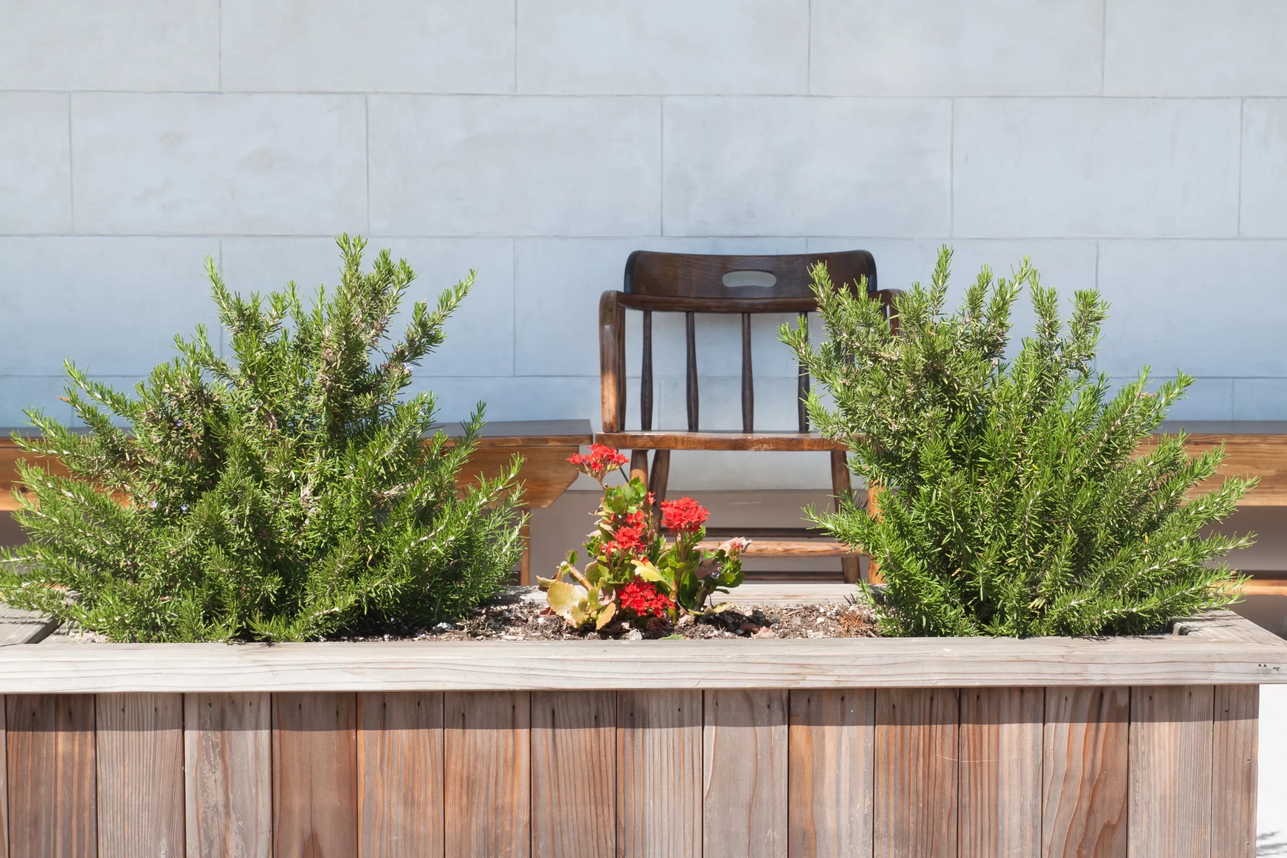 planter-box-waterproofing Planter Box Waterproofing