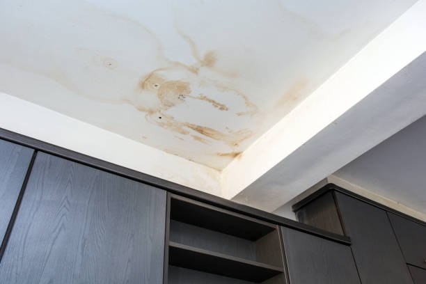 How to Stop Toilet and Bathroom Floor Leaks from Staining Your Neighbour’s Ceiling