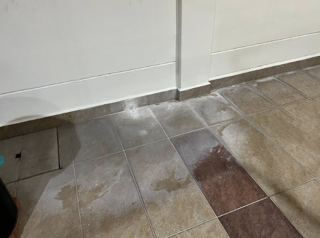 Efflorescence stains on a car porch