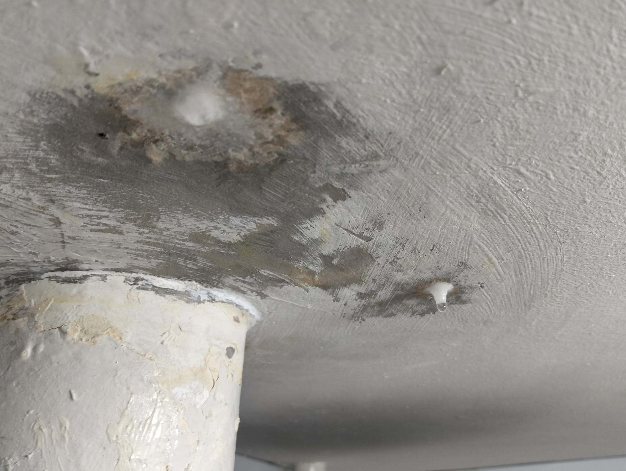 What To Do If Water Is Leaking From Your Ceiling (Singapore Homeowner Guide)