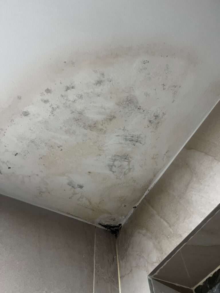 Example of a water leak on the ceiling