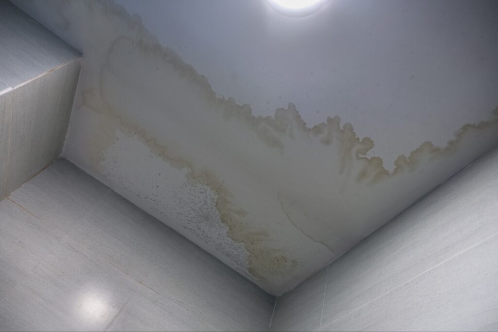 Mold growing on ceiling